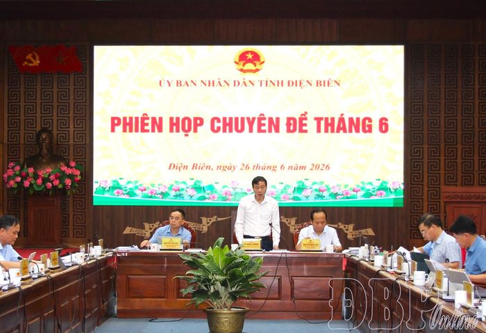 Đồng chí Lê Văn Lương, Phó Bí thư Tỉnh ủy, Chủ tịch UBND tỉnh phát biểu tại phiên họp.