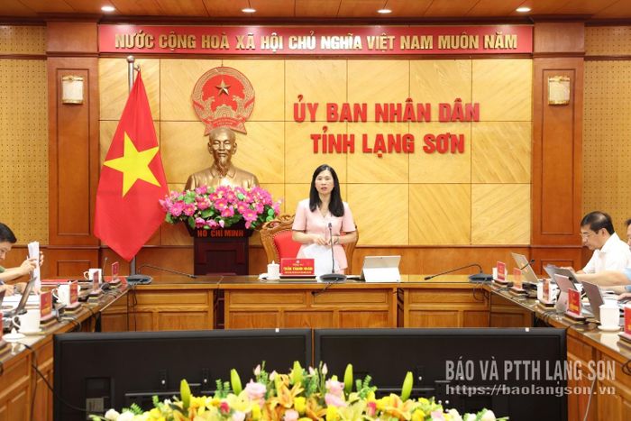 Đồng chí Trần Thanh Nhàn, Phó Chủ tịch UBND tỉnh phát biểu kết luận cuộc họp