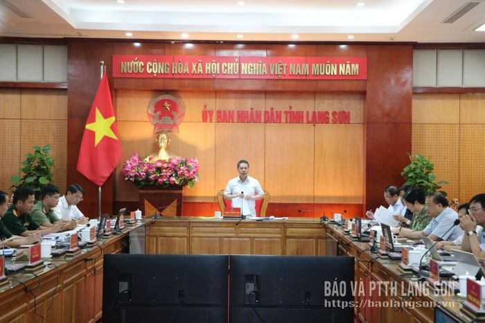 Đồng chí Đoàn Thanh Sơn, Phó Chủ tịch UBND tỉnh, Trưởng Ban Chỉ đạo phát biểu kết luận cuộc họp