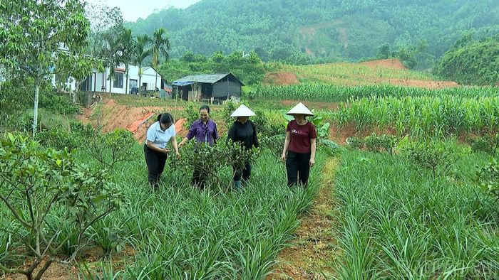 Phụ nữ xã Hưng Khánh trao đổi kỹ thuật trồng trọt.