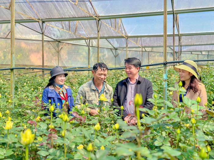 Các địa phương trong tỉnh xây dựng và nhân rộng nhiều mô hình vận động Nhân dân tham gia phát triển kinh tế