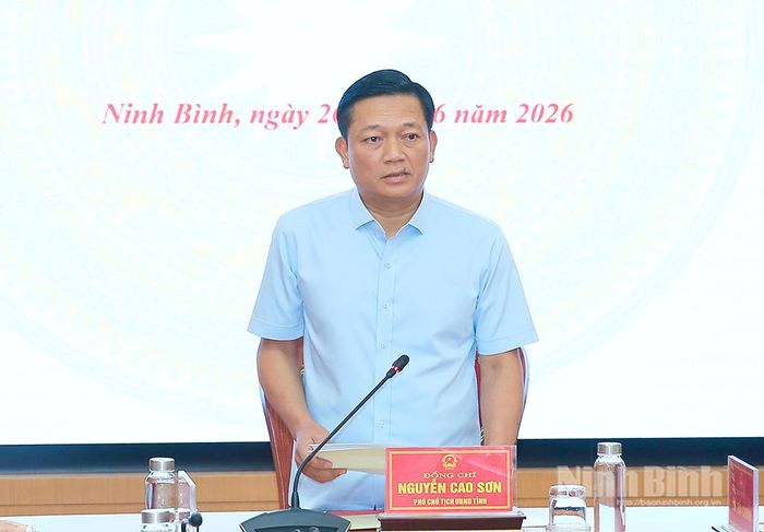 Đồng chí Phó Chủ tịch UBND tỉnh Nguyễn Cao Sơn phát biểu kết luận hội nghị.