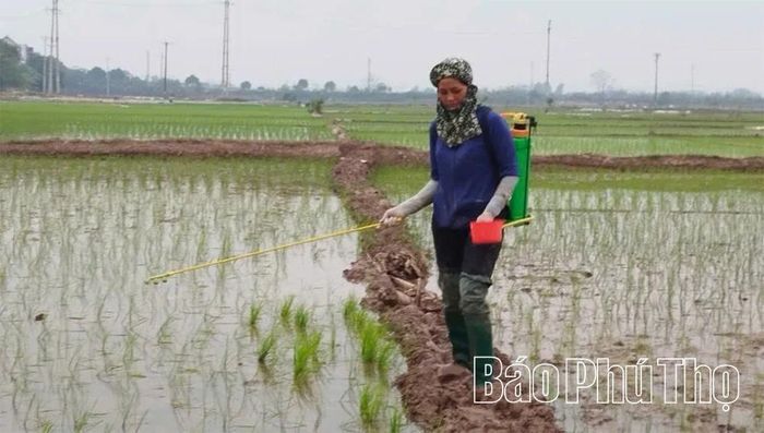 Bà con nông dân sử dụng thuốc BVTV có nguồn gốc sinh học, góp phần bảo vệ môi trường đồng ruộng.