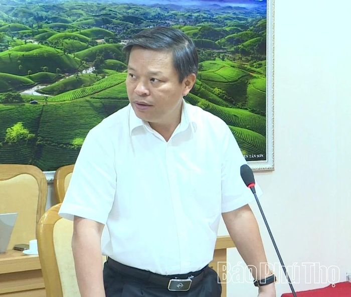 Phó Chủ tịch UBND tỉnh Phan Trọng Tấn phát biểu tại cuộc họp.