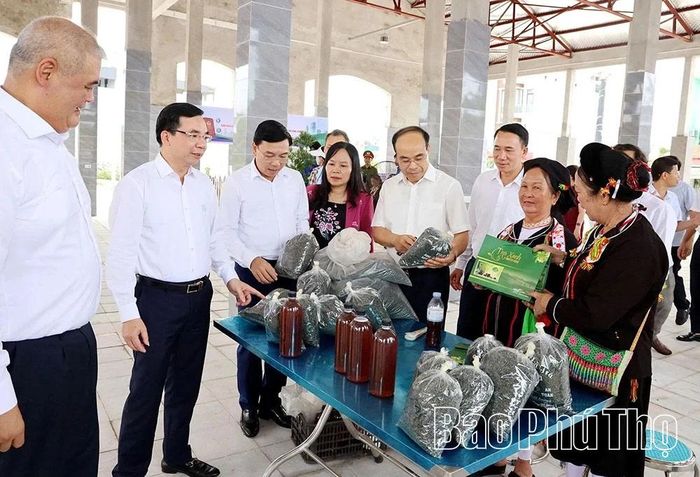Các đồng chí lãnh đạo tỉnh và đại biểu thăm không gian chợ Đại Lải.