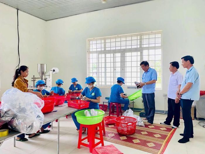 Lãnh đạo xã Triệu Cơ thăm mô hình sản xuất Trần Lan - Ảnh: M.H