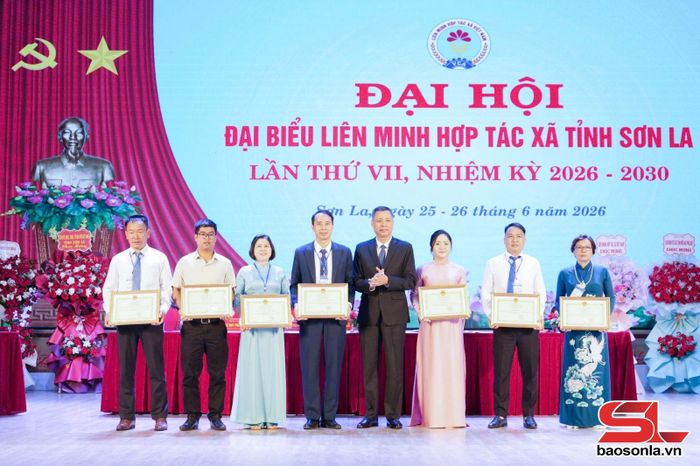 Lãnh đạo UBND tỉnh tặng Bằng khen cho các cá nhân, tập thể có thành tích xuất sắc.