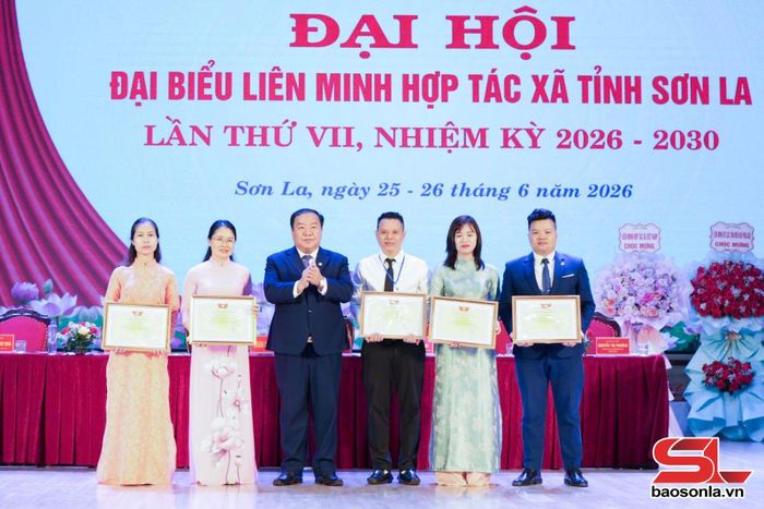 Lãnh đạo Ủy ban MTTQ Việt Nam tỉnh tặng Bằng khen cho các cá nhân, tập thể có thành tích xuất sắc.