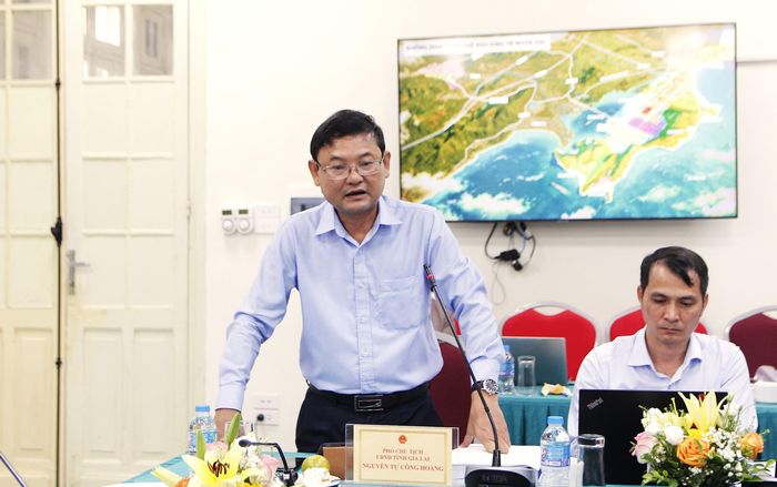 Ông Nguyễn Tự Công Hoàng, Phó Chủ tịch UBND tỉnh Gia Lai phát biểu tại hội nghị