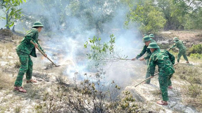  Từ đầu năm đến nay trên địa bàn tỉnh đã xảy ra 11 vụ cháy rừng, ảnh hưởng hơn 220 ha rừng 