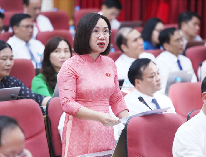 Trưởng ban Kinh tế - Ngân sách HĐND tỉnh Nguyễn Thị Thúy Nga đặt câu hỏi với Giám đốc Sở Công thương