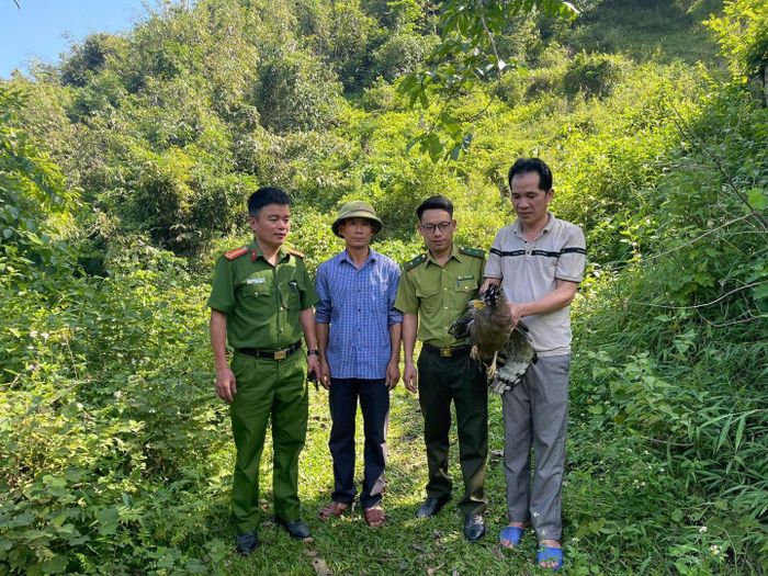 Công an xã Bắc Mê phối hợp cùng các cơ quan chuyên môn thả 1 cá thể Diều hâu về môi trường tự nhiên.