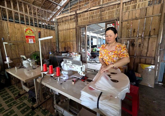 Chương trình triển khai tại ba xã Nhơn Hòa Lập, Đông Thành và Mỹ Quý (tỉnh Tây Ninh) vào cuối năm 2025, giúp các hộ phụ nữ phát triển sinh kế phù hợp với điều kiện địa phương.