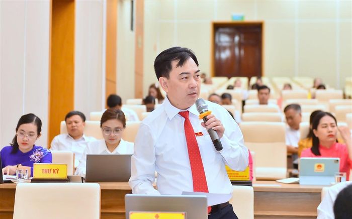 Trưởng Ban Kinh tế - Ngân sách HĐND tỉnh Trần Thanh Thủy chất vấn tại kỳ họp