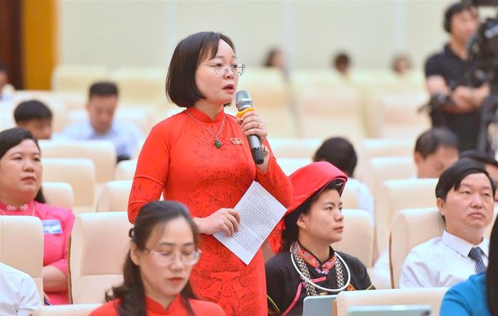 Đại biểu Nguyễn Thanh Thủy chất vấn tại kỳ họp