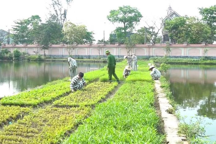 Quản giáo hướng dẫn các phạm nhân lao động, sản xuất.