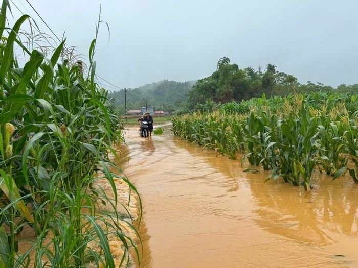 Xã Hòa An nhanh chóng thực hiện công tác di dời người dân, tài sản đến khu vực an toàn.