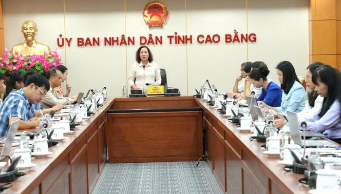 Phó Chủ tịch UBND tỉnh Hà Nhật Lệ kết luận cuộc họp.