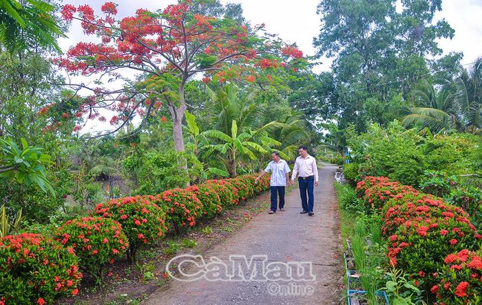 Tuyến đường CCB sáng - xanh – sạch là một trong những mô hình mang dấu ấn của CCB Cà Mau trong xây dựng nông thôn mới, đô thị văn minh. (Ảnh chụp tại Ấp 6, xã U Minh)