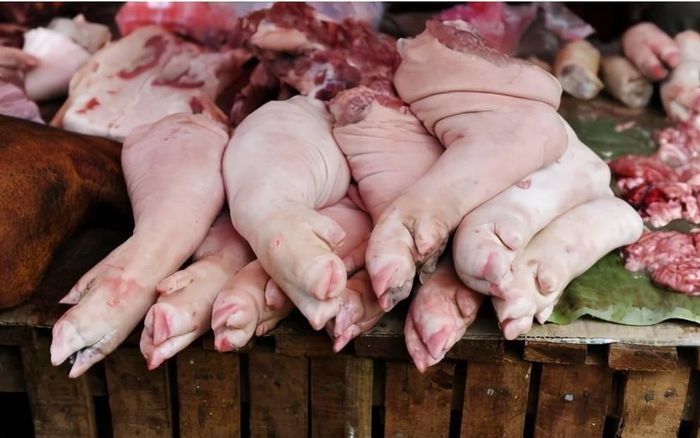 Chân giò ngon thường có màu hồng tươi, phần da sáng và không có dấu hiệu thâm hay tái. Ảnh minh họa.