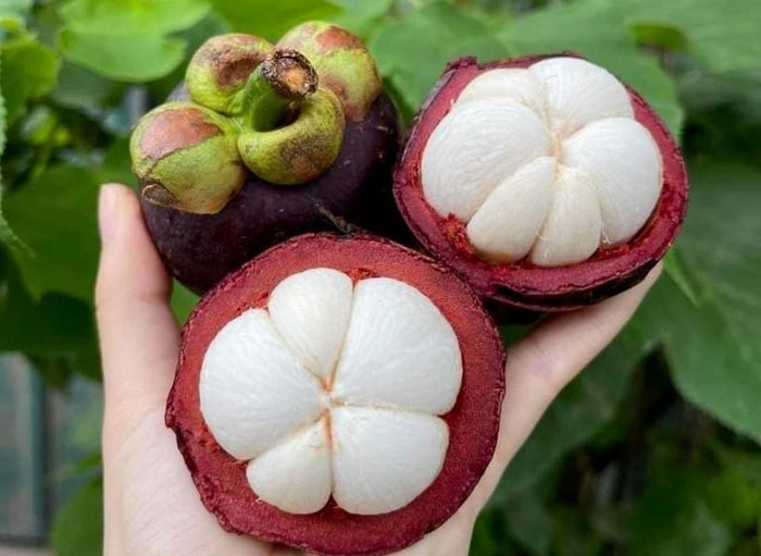 4 nhóm người nên hạn chế ăn măng cụt. Ảnh minh họa