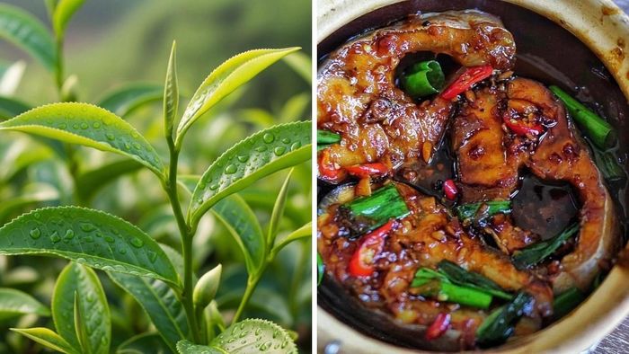Cá kho đạt chuẩn sẽ có thịt chắc, xương mềm, thơm nhẹ mùi chè xanh và riềng. Ảnh minh họa.