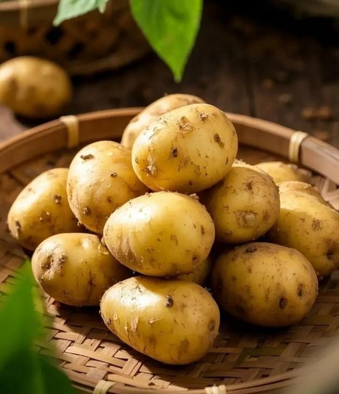 Khoai tây không nên bảo quản trong tủ lạnh vì nhiệt độ thấp làm tinh bột chuyển hóa thành đường, khiến hương vị thay đổi. Ảnh minh họa