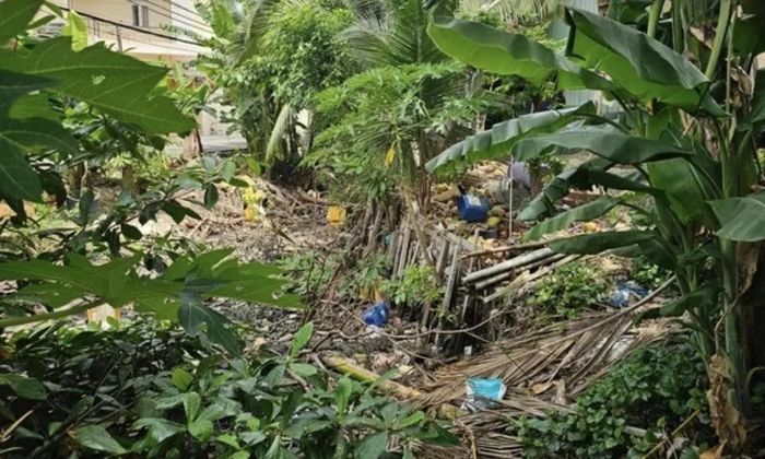 Một đoạn của con rạch bị phủ đầy rác, cây cối mọc um tùm
