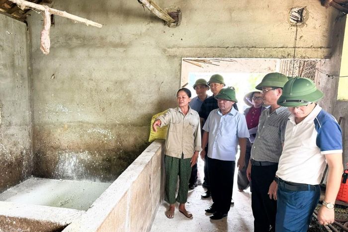 Nghệ An triển khai đồng bộ các nhiệm vụ, giải pháp trọng tâm, hướng tới chăn nuôi an toàn, sinh học. (Ảnh tư liệu)
