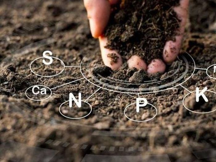 Phân vi sinh là loại phân bón chứa vi sinh vật sống có lợi, có khả năng cung cấp dinh dưỡng tự nhiên và cải thiện độ phì nhiêu cho đất. Các vi sinh vật này gồm vi khuẩn, nấm hoặc xạ khuẩn có khả năng cố định đạm, phân giải lân, kali và chất hữu cơ, giúp cây hấp thu dinh dưỡng dễ dàng hơn.