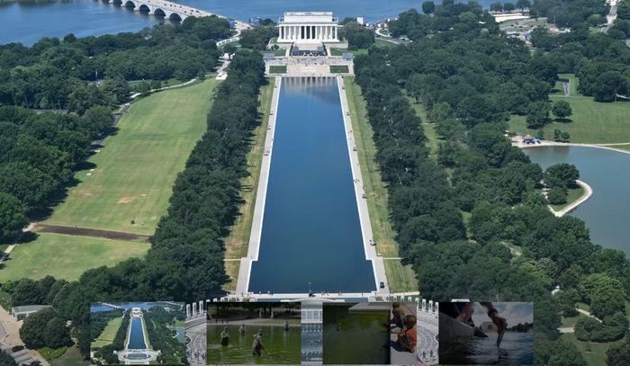 Bà Mary Jane Willard, du khách đến từ thành phố Seattle, cho biết bà cảm thấy không thoải mái khi chứng kiến hàng rào, binh sĩ Vệ binh Quốc gia và camera xuất hiện quanh một địa điểm mang tính biểu tượng của thủ đô nước Mỹ.
