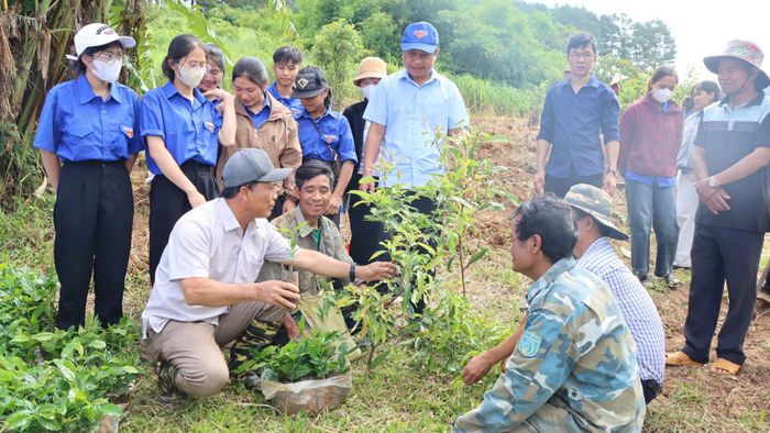  Các mô hình phát triển kinh tế được địa phương triển khai cho hiệu quả thiết thực. 