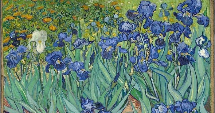  Bức tranh Hoa diên vĩ của Van Gogh. Ảnh: wikipedia. 