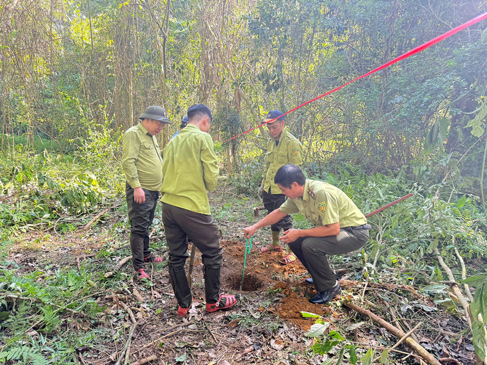Khu vực được lựa chọn quây lại để động vật hoang dã làm quen trước khi được tái thả về với môi trường tự nhiên. 