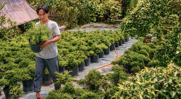 Anh Trần Ngọc Hận với đôi chân không lành lặn. Anh gắn bó với nghề trồng cây kiểng và làm chậu kiểng bằng tất cả tình yêu.