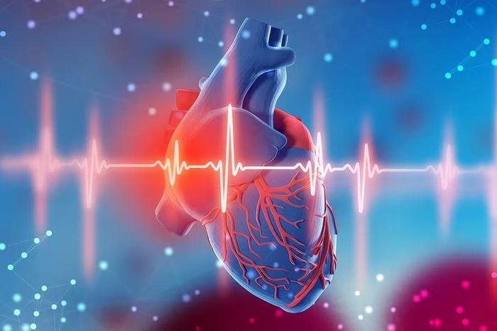 Nguy cơ ngừng tim đột ngột khi chơi thể thao là biến cố hiếm gặp nhưng đặc biệt nguy hiểm, cần được nhận diện đúng để phòng ngừa và xử trí kịp thời. Ảnh minh họa