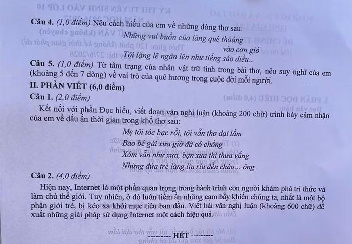 Nhiều thí sinh thích thú với câu hỏi liên quan đến Internet của đề thi Ngữ văn.