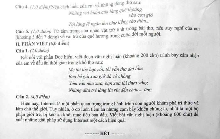 Dưới đây là đáp án gợi ý do Tuyensinh247 thực hiện: