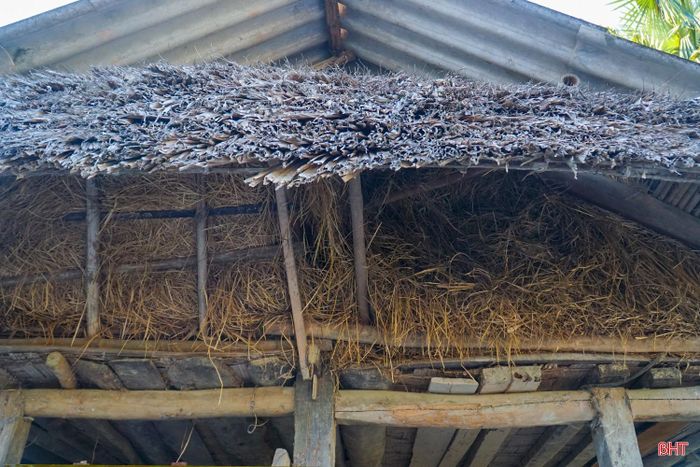 Bà Phan Thị Tâm (thôn Bình Minh, xã Hương Bình) cho biết, dự trữ rơm khô là giải pháp cần thiết để đảm bảo thức ăn, đồng thời khi để rơm phía trên chuồng giúp giảm hấp nhiệt, làm mát cho vật nuôi.