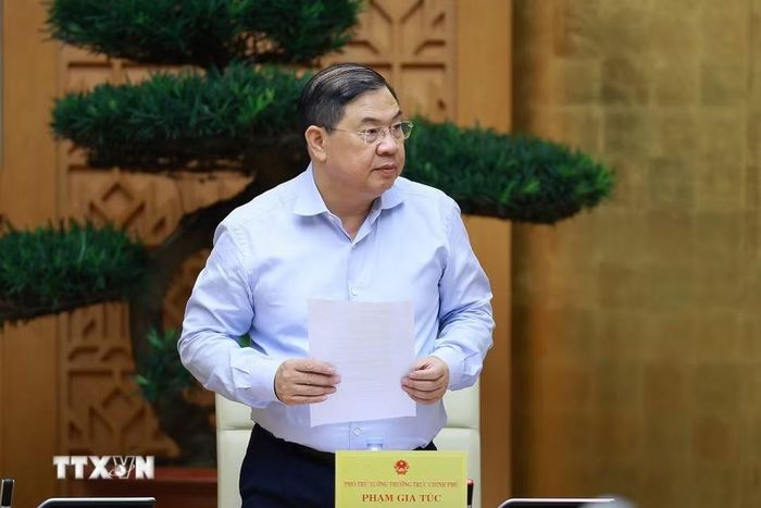 Phó Thủ tướng Thường trực Phạm Gia Túc phát biểu tại Phiên họp Chính phủ chuyên đề về xây dựng pháp luật tháng 6 năm 2026. (Ảnh: Dương Giang/TTXVN)