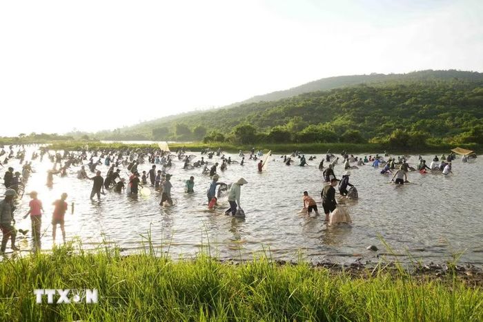 Lễ hội đánh cá Vực - Rào là nét đẹp văn hóa truyền thống được người dân Nghi Xuân gìn giữ qua nhiều thế hệ. (Ảnh: Hữu Quyết/TTXVN)