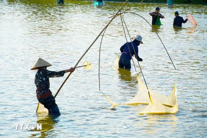 Không gian lễ hội mang đậm dấu ấn văn hóa làng quê tại Đầm Vực, xã Nghi Xuân. (Ảnh: Hữu Quyết/TTXVN)
