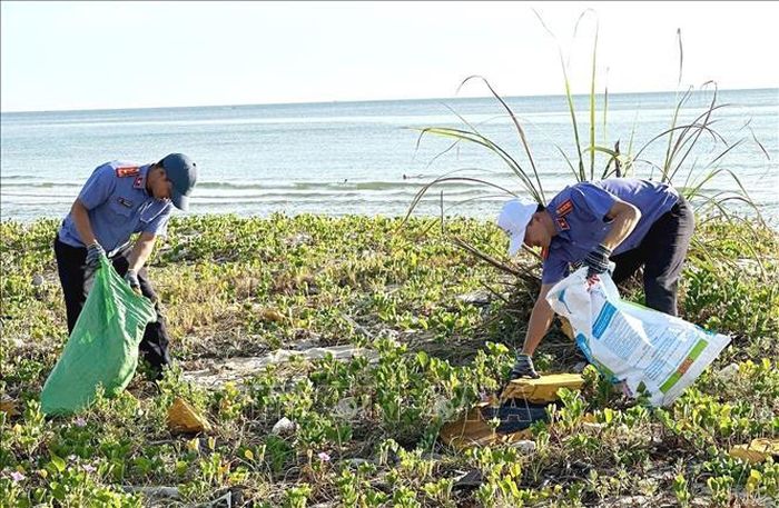 Chiến dịch thu hút sự tham gia của đông đảo đoàn viên thanh niên, cán bộ, chiến sĩ lực lượng vũ trang, học sinh, sinh viên tham gia. Ảnh: TTXVN phát