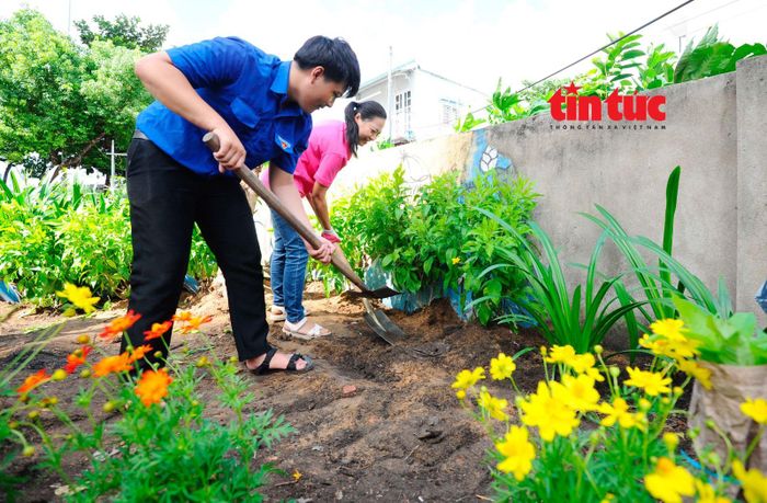 Đoàn viên than niên cùng với hội phụ nữ phường Bình Thạnh trồng hơn 1.000 cây xanh để tạo cảnh quan môi trường xanh, sạch, đẹp.