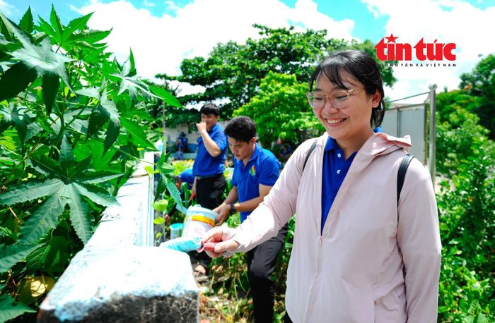 Các thanh niên tình nguyện ở địa phương hào hứng tham gia các hoạt động phong trào do phường Bình Thạnh phát động.