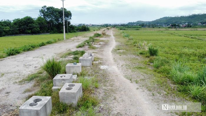 Đoạn đường đắp đất dang dở, cỏ mọc um tùm.