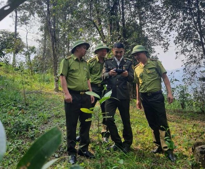 Lực lượng kiểm lâm sử dụng thiết bị bay để quản lý, bảo vệ rừng. Ảnh: Việt Hoa