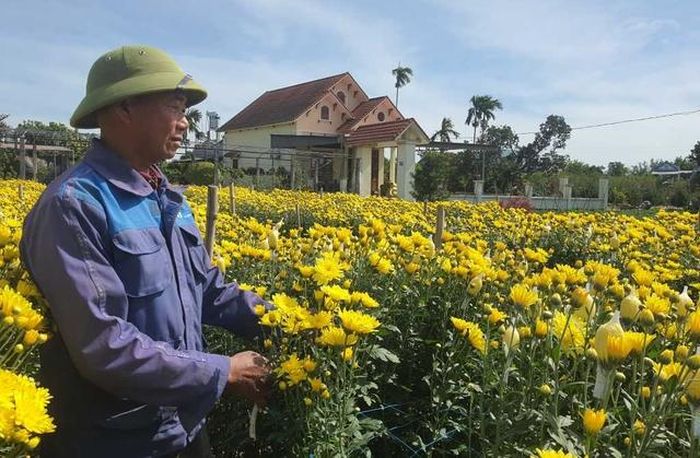 Người dân xã Quảng Tân có đời sống ấm no từ phát triển nông nghiệp. Ảnh: Việt Hoa