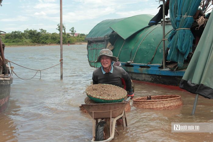 Nghề đãi hến sông La tuy vất vả, đòi hỏi người thợ phải “đội nắng, ngâm mình” hàng giờ liền dưới nước, nhưng nhờ quy trình thủ công kỹ lưỡng này mà sản vật hến nơi đây luôn giữ được độ tươi ngon, sạch sẽ và trở thành thương hiệu ẩm thực nổi tiếng của vùng đất Hà Tĩnh.