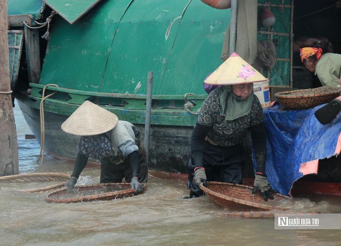 Theo bà Dương Thị Bính, mỗi ngày gia đình bắt và chế biến từ 100 đến 150 kg hến vỏ, cho ra khoảng 10 kg ruột hến thành phẩm. Giá bán hiện tại là 150.000 đồng/kg ruột hến cùng hai lít nước luộc hến, nguyên liệu quan trọng cho nhiều món ăn đặc sản.